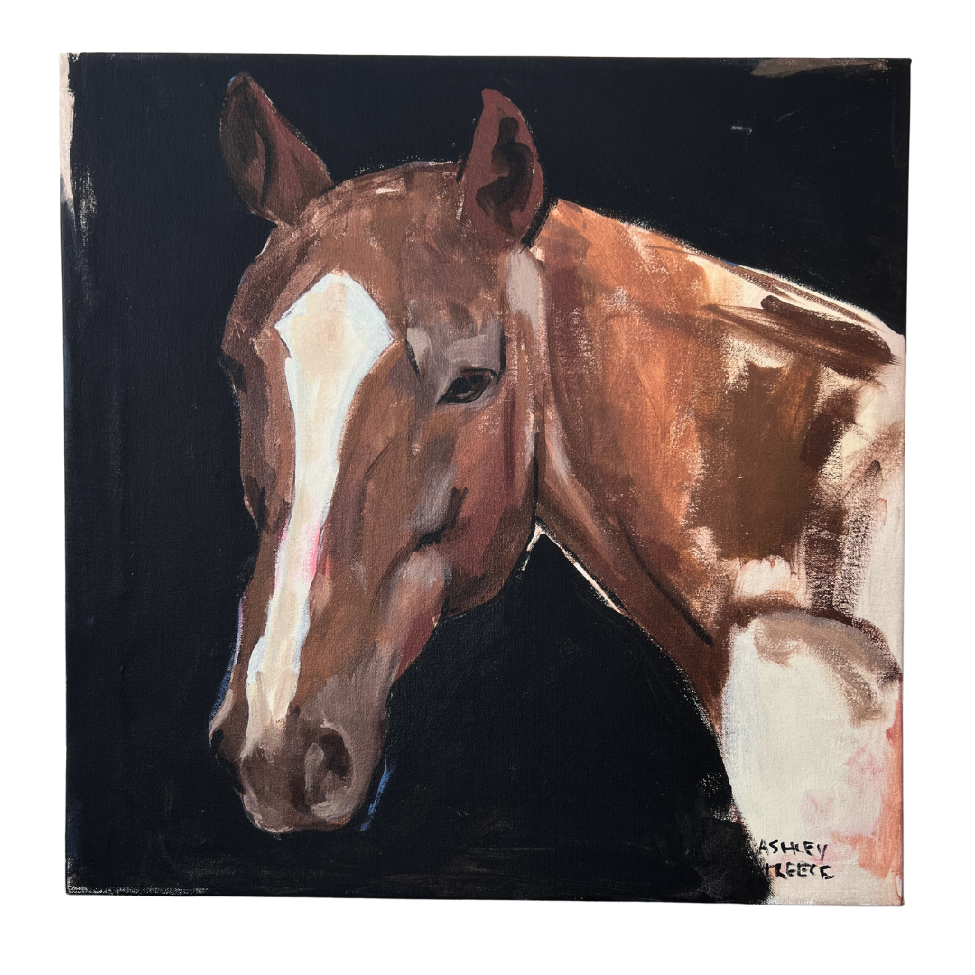 “Horse on black" Original Painting